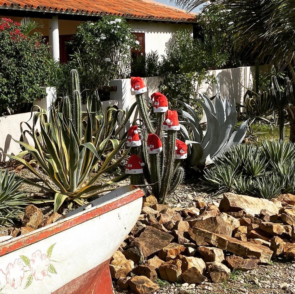 Ten learnings gained over a typical day eating and drinking aboard a cruise ship.  On a sea&nbsp;day.